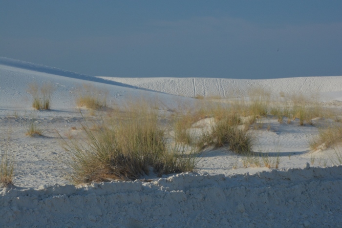 white sands dunes